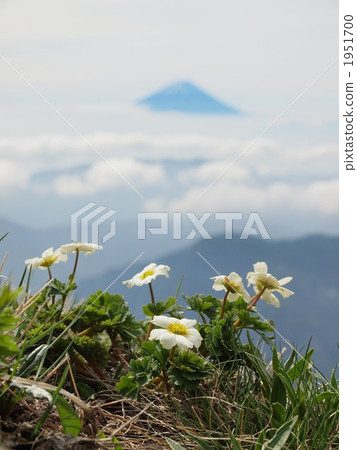 Mt.Fuji and Mt. Fuji Mt.Fuji and Mt. Fuji 1951700