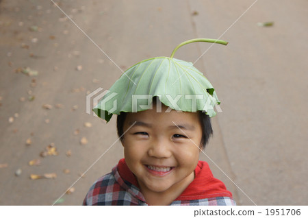 葉帽子 1951706