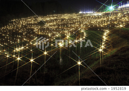 Shining rice terrace 1952819