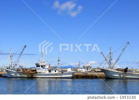 從甘肅灣看到的國後島 1953130