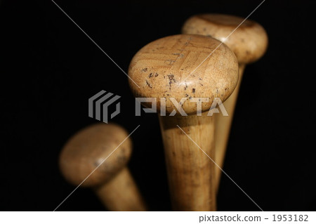 竹蝙蝠 1953182