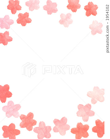 Cherry petals 1954102