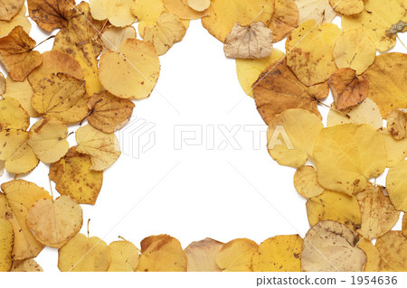 Frame made of the fallen leaves of Katsura Frame made of the fallen leaves of Katsura 1954636