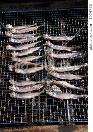 stockfish, dried fish, shishamo smelt 1954728