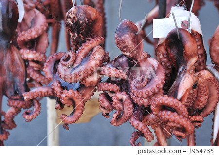 dried octopus, groceries, fish and shellfish 1954735