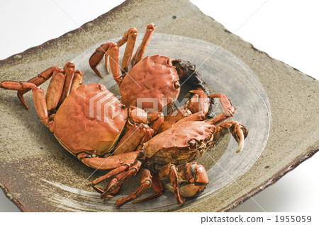 mokozugani, mokuzu crab, freshwater crab 1955059