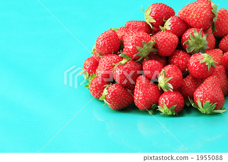 Toyono Ichigo Hayami Toyono Ichigo Hayami 1955088