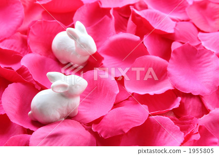 White rabbits and petals 1955805