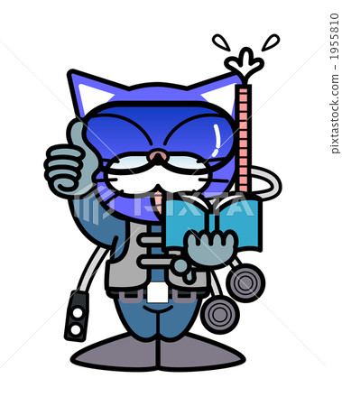 animal, animals, cat 1955810
