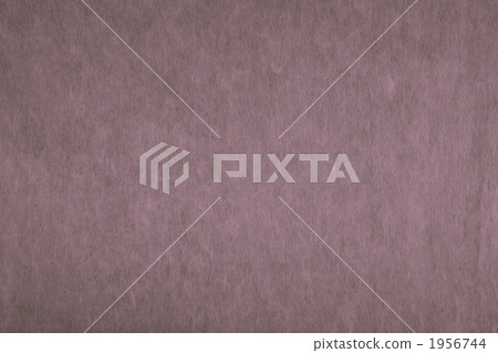 "Umezumi Umenezu" Japanese traditional color series Washi paper N-943 1956744