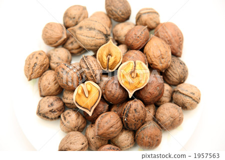 惡魔核桃 惡魔核桃 1957563