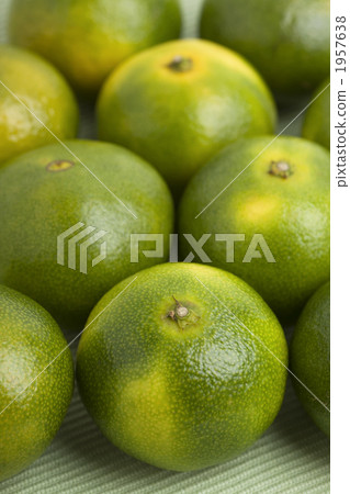 藍色橘子 藍色橘子 1957638