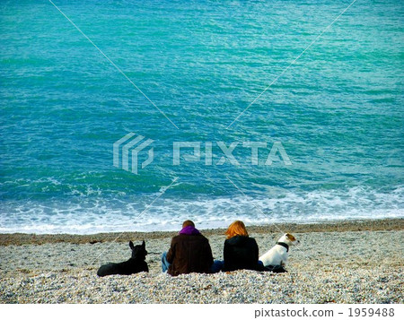 冬天海夫婦 1959488