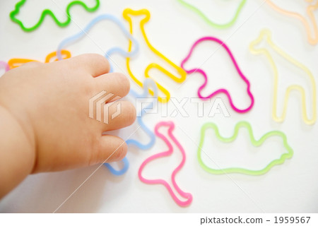 Animal rubber band and hand 1959567