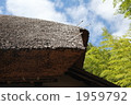A cabbage roof 1959792