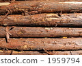 wood, log, logs 1959794