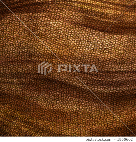 皮膚 皮革製品 皮革 1960602