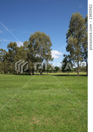 field, grass field, grassland 1960982