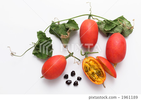 Seeds of crow fish and luck Seeds of crow fish and luck 1961189