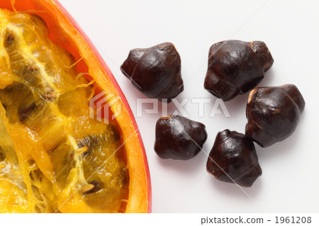 Seeds of crow fish and luck Seeds of crow fish and luck 1961208