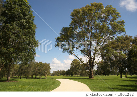 promenade, grass field, grassland 1961252