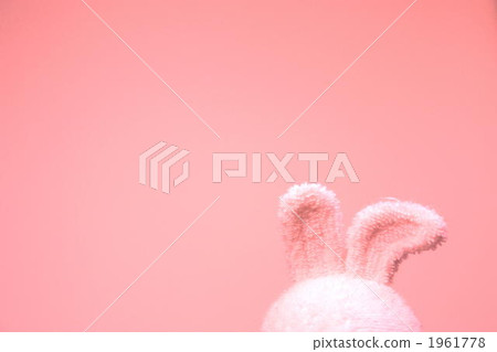 Usagi's stuffed ears 1961778