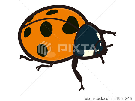 Insect _ Nana Hoshi Tentou 1961846