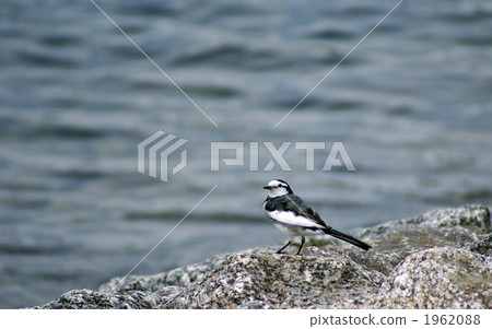 Rest at the rocky place 1962088