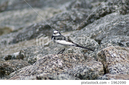 嗨姿勢 嗨姿勢 1962090