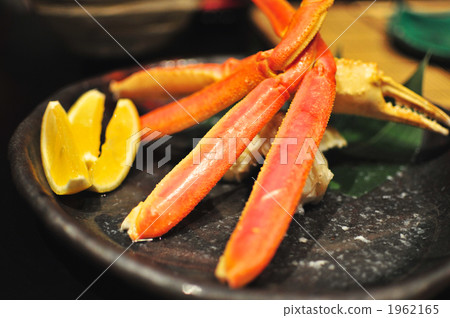 Snow crab 1962165