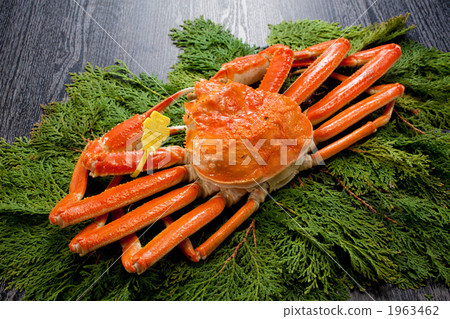 越前蟹臂與標記 1963462