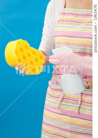 Sponge and detergent 1963476