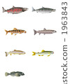 河魚圖 1963843