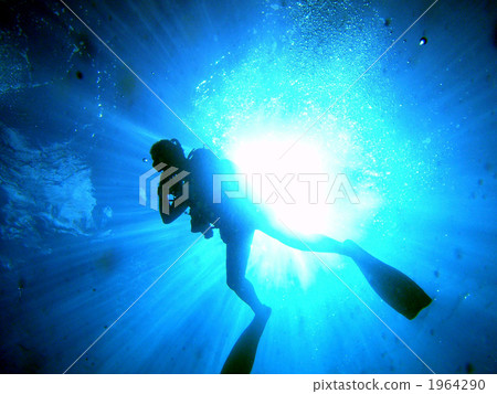 Dive the light. Dive the light. 1964290