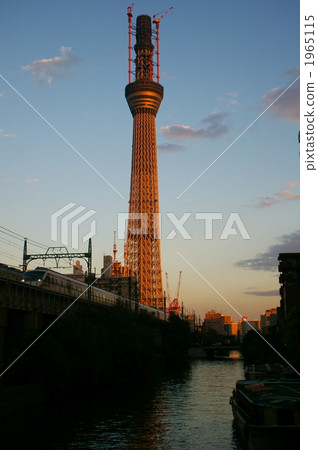 A sky tree and evening rain noodle in the evening 1965115
