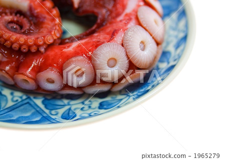 觀察吸盤 1965279