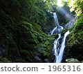 深綠色和瀑布 1965316