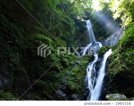 Dark green and waterfall 1965316