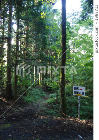 Sakamoto Ryuma Deprivation path 1965713