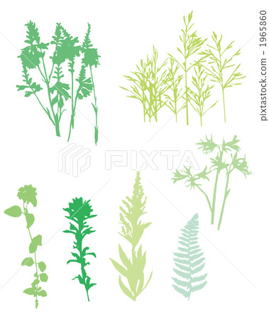 parts, fern, leaf 1965860