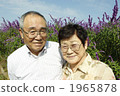 年長夫婦 1965878