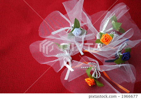 Cute rose flower Cute rose flower 1966677