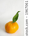 Wenzhou oranges 1967061
