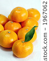 Wenzhou oranges 1967062