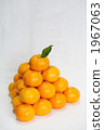 Wenzhou oranges 1967063