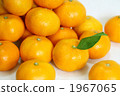 Wenzhou oranges 1967065