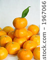 Wenzhou oranges 1967066