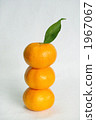 Wenzhou oranges 1967067