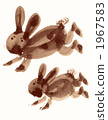 Rabbit  1967583