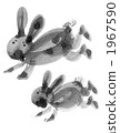 Rabbit  1967590